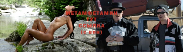 индика Корсаков