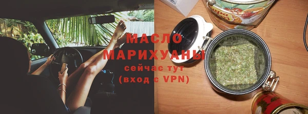 индика Корсаков