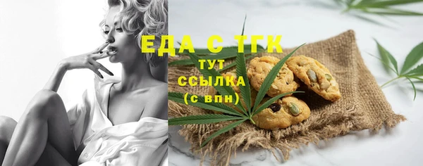индика Корсаков