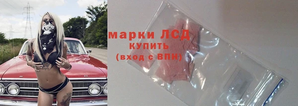 индика Корсаков