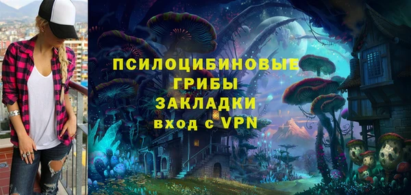 индика Корсаков