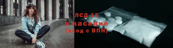 индика Корсаков