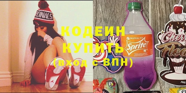индика Корсаков