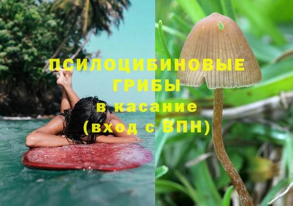 индика Корсаков