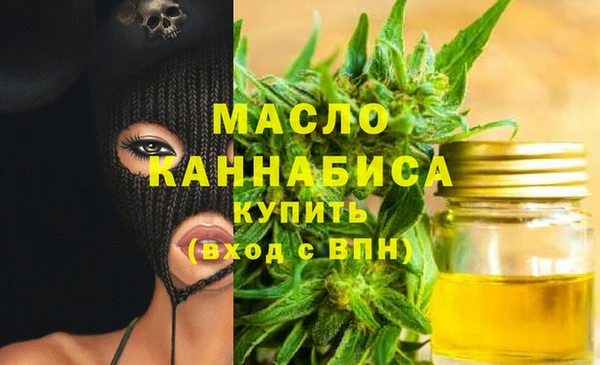 индика Корсаков