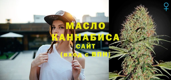 индика Корсаков