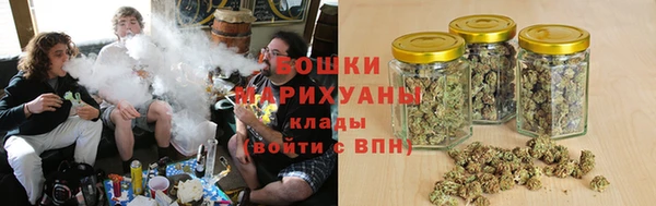 индика Корсаков