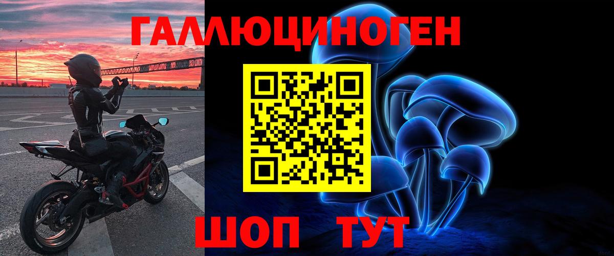 Галлюциногенные грибы Psilocybe  Вход с VPN  Пятигорск 