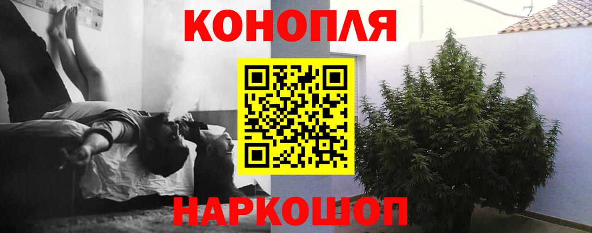 Конопля планчик  Вход с VPN  Канабис Ganja  Конопля THC 21%  Пятигорск 